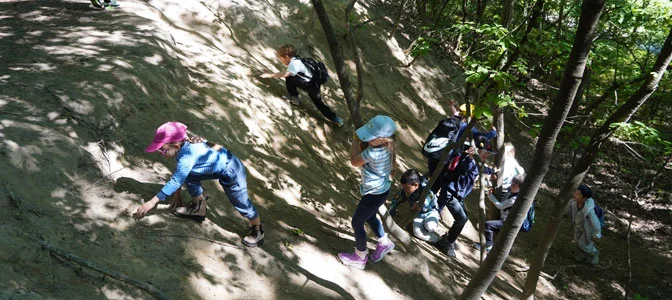 Forest School at BSW